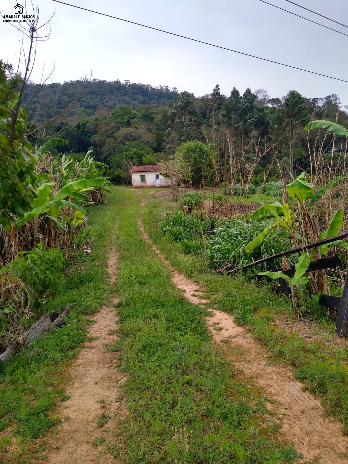 Chácara em , São Roque - sitio com 5.5 alq casa simples e lago - Foto 1